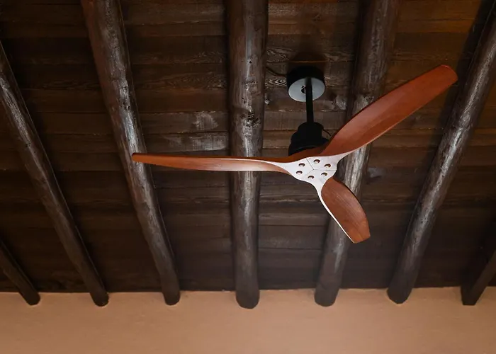 Canaryislandshost I La Casa Del Doctor Holiday home *